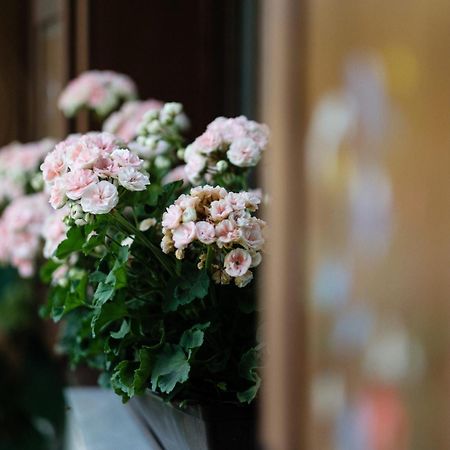 Dom Malowany เวทลีนา ภายนอก รูปภาพ